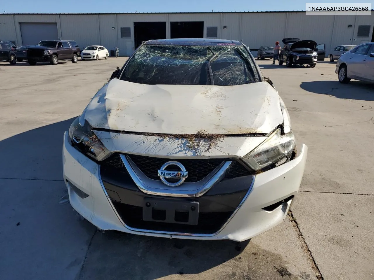 2016 Nissan Maxima 3.5S VIN: 1N4AA6AP3GC426568 Lot: 62844664