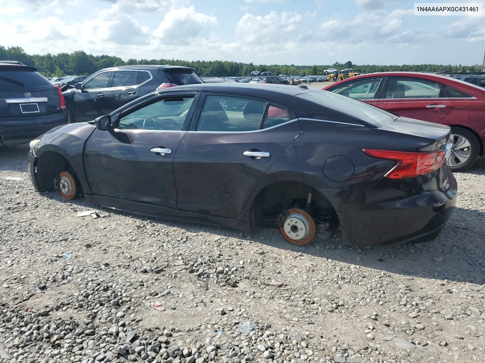 2016 Nissan Maxima 3.5S VIN: 1N4AA6APXGC431461 Lot: 64934924