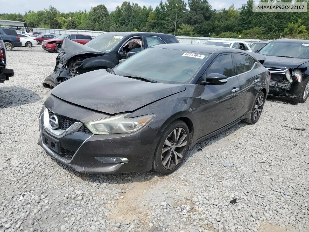 2016 Nissan Maxima 3.5S VIN: 1N4AA6AP9GC422167 Lot: 66739604