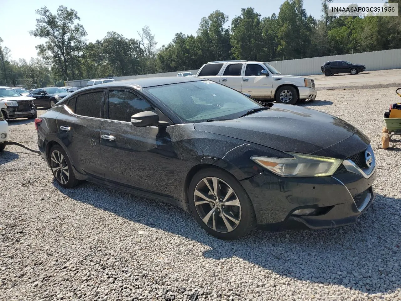 2016 Nissan Maxima 3.5S VIN: 1N4AA6AP0GC391956 Lot: 67517634