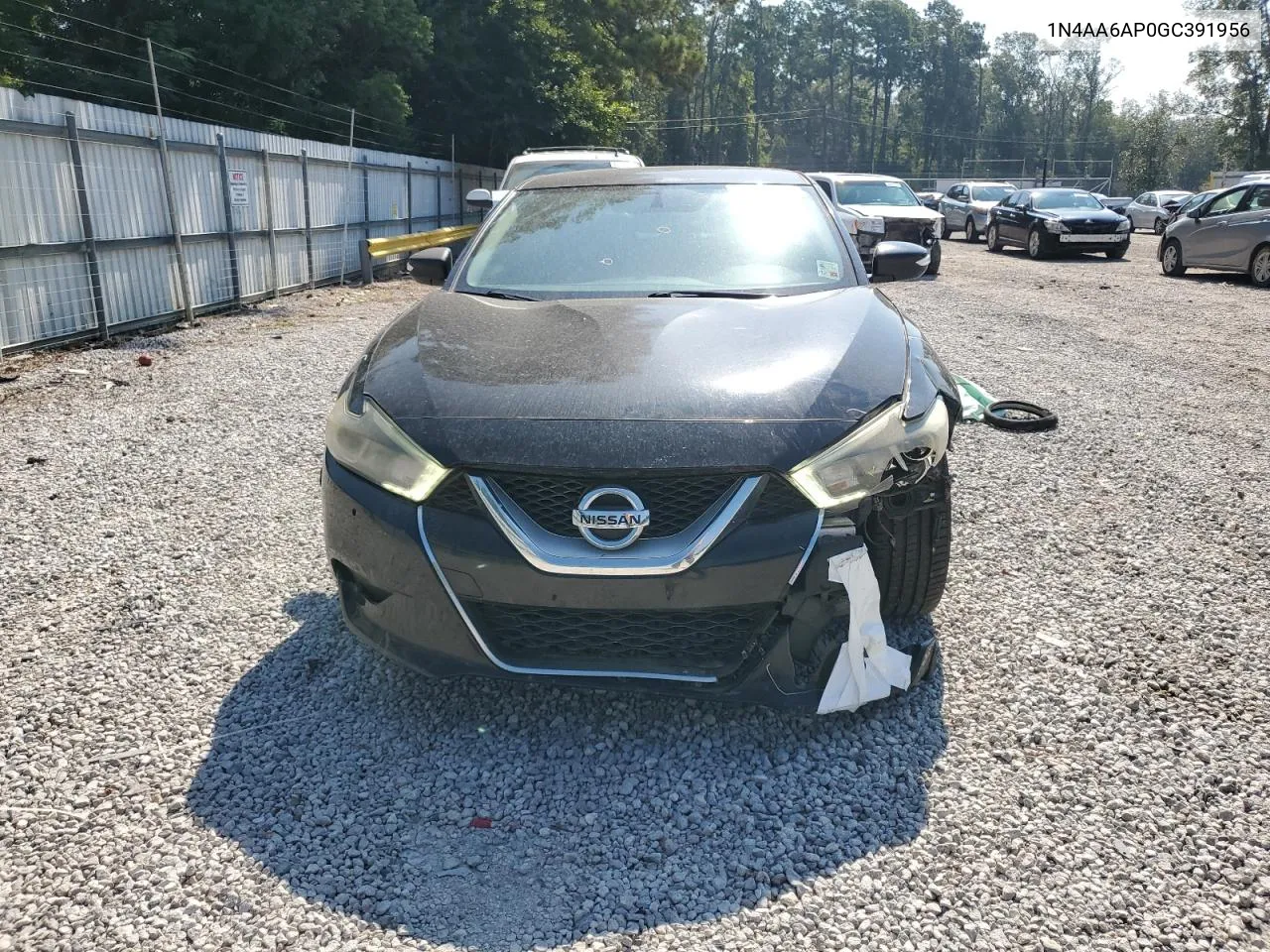 2016 Nissan Maxima 3.5S VIN: 1N4AA6AP0GC391956 Lot: 67517634