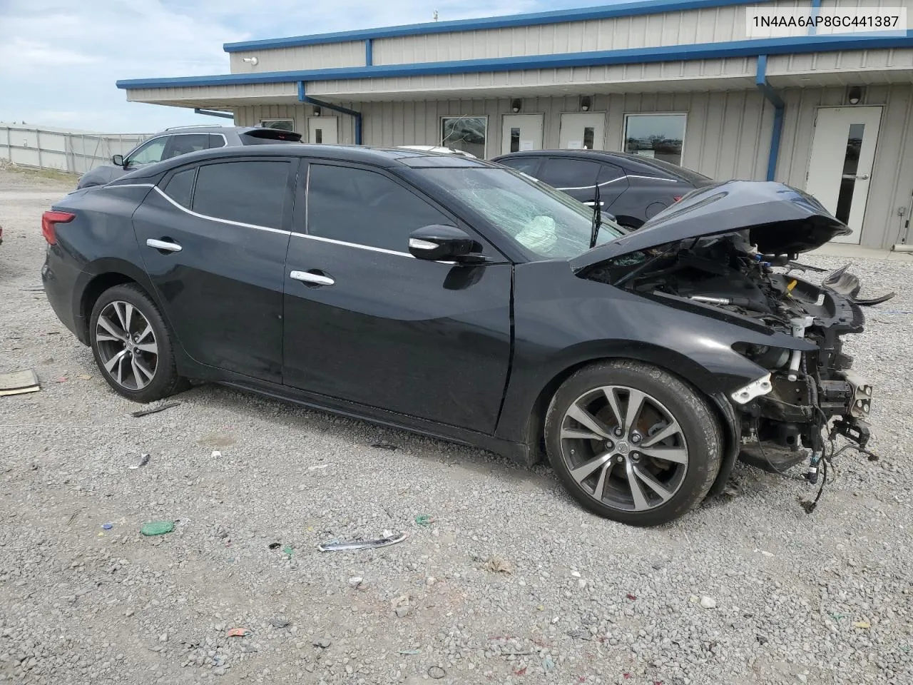 2016 Nissan Maxima 3.5S VIN: 1N4AA6AP8GC441387 Lot: 69862814