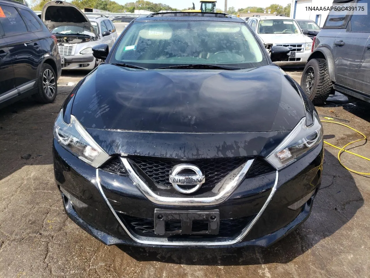 2016 Nissan Maxima 3.5S VIN: 1N4AA6AP5GC439175 Lot: 71083794