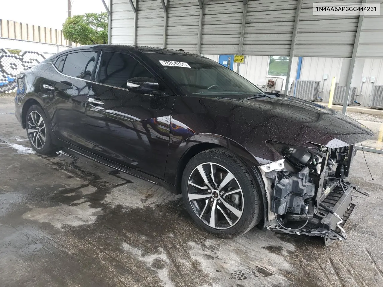 2016 Nissan Maxima 3.5S VIN: 1N4AA6AP3GC444231 Lot: 75768734