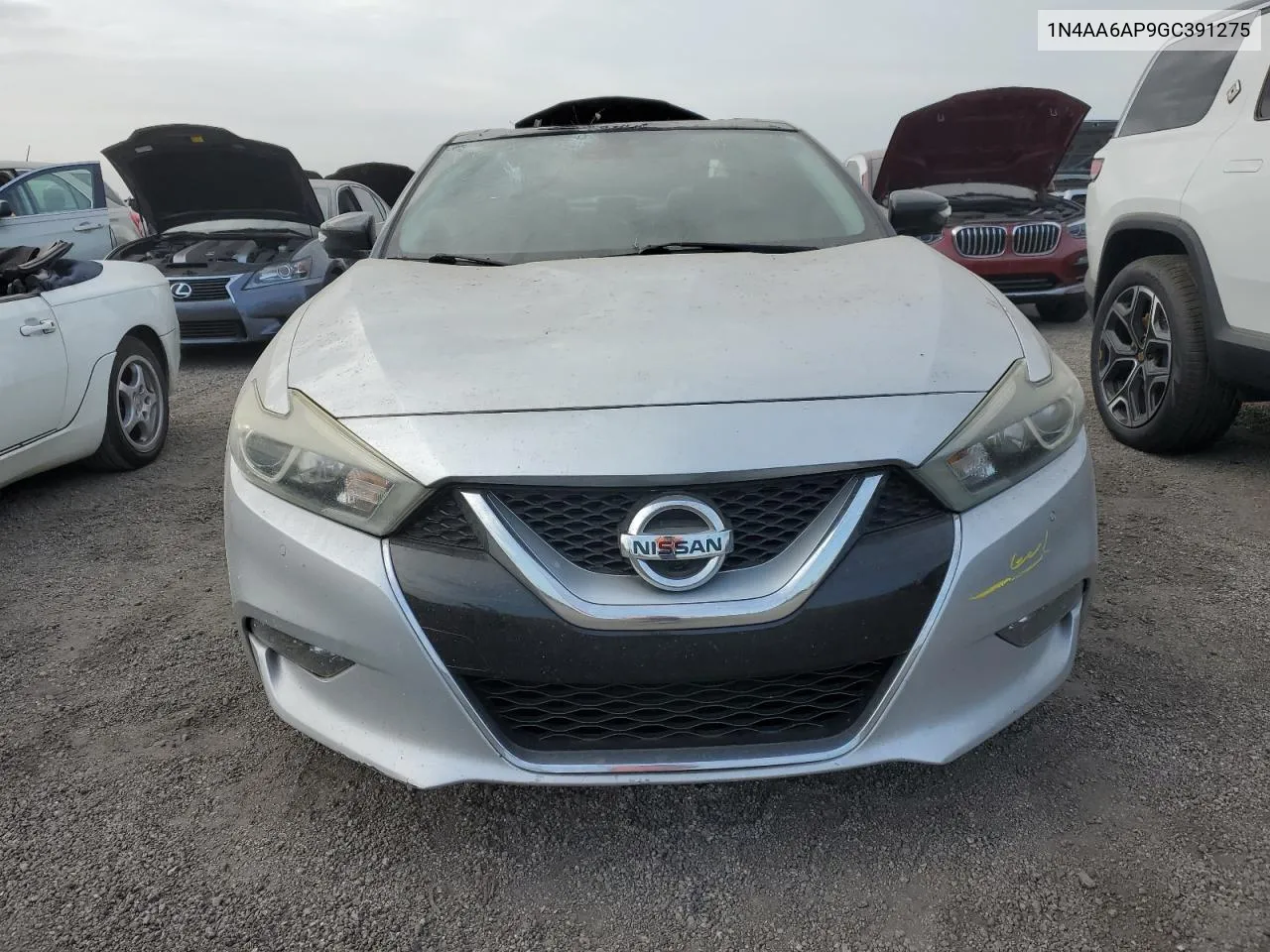 2016 Nissan Maxima 3.5S VIN: 1N4AA6AP9GC391275 Lot: 76333614