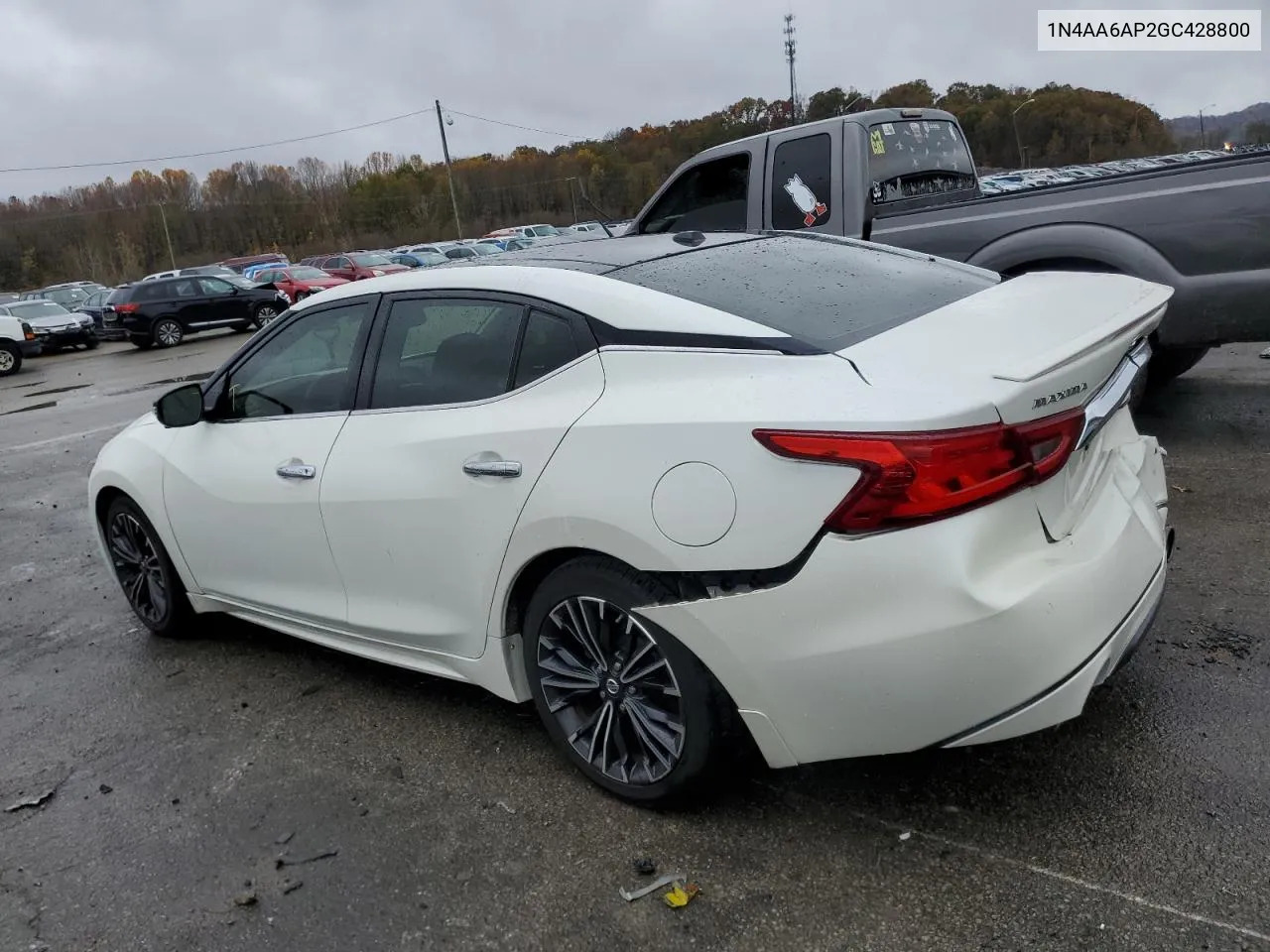 2016 Nissan Maxima 3.5S VIN: 1N4AA6AP2GC428800 Lot: 79526334