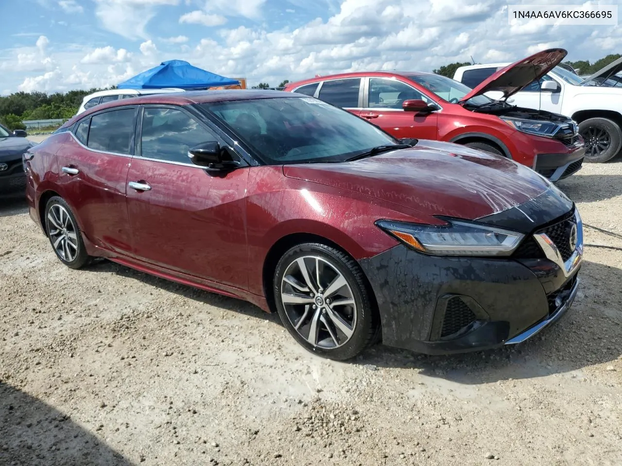 2019 Nissan Maxima S VIN: 1N4AA6AV6KC366695 Lot: 73919204