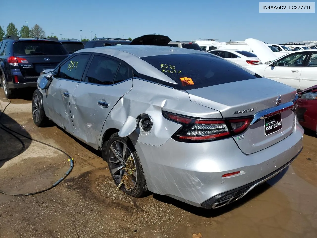 2020 Nissan Maxima Sv VIN: 1N4AA6CV1LC377716 Lot: 53026694