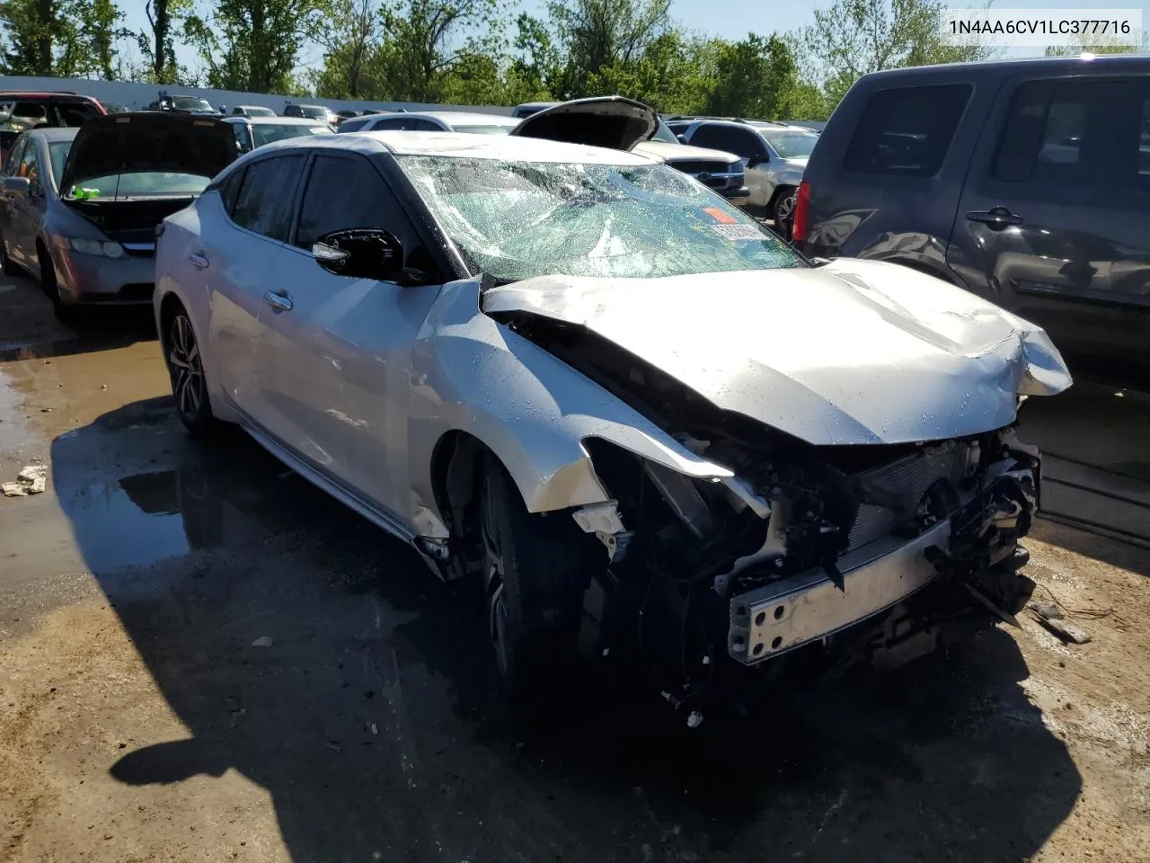 2020 Nissan Maxima Sv VIN: 1N4AA6CV1LC377716 Lot: 53026694