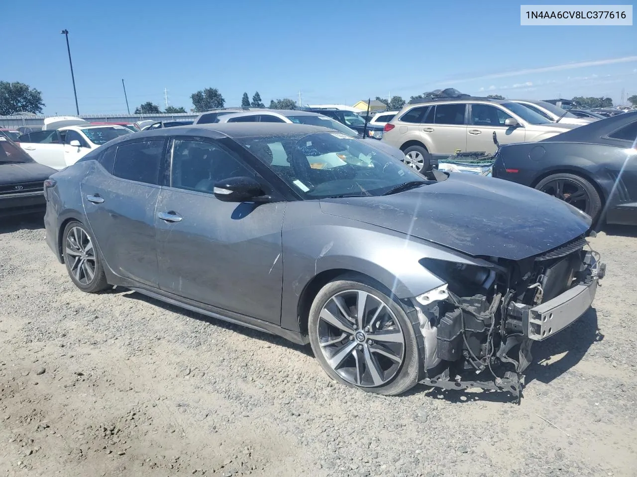 2020 Nissan Maxima Sv VIN: 1N4AA6CV8LC377616 Lot: 60534594