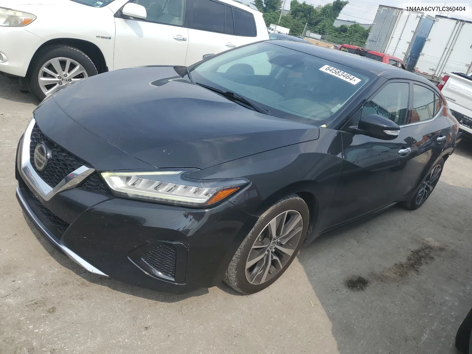 2020 Nissan Maxima Sv VIN: 1N4AA6CV7LC360404 Lot: 64583464