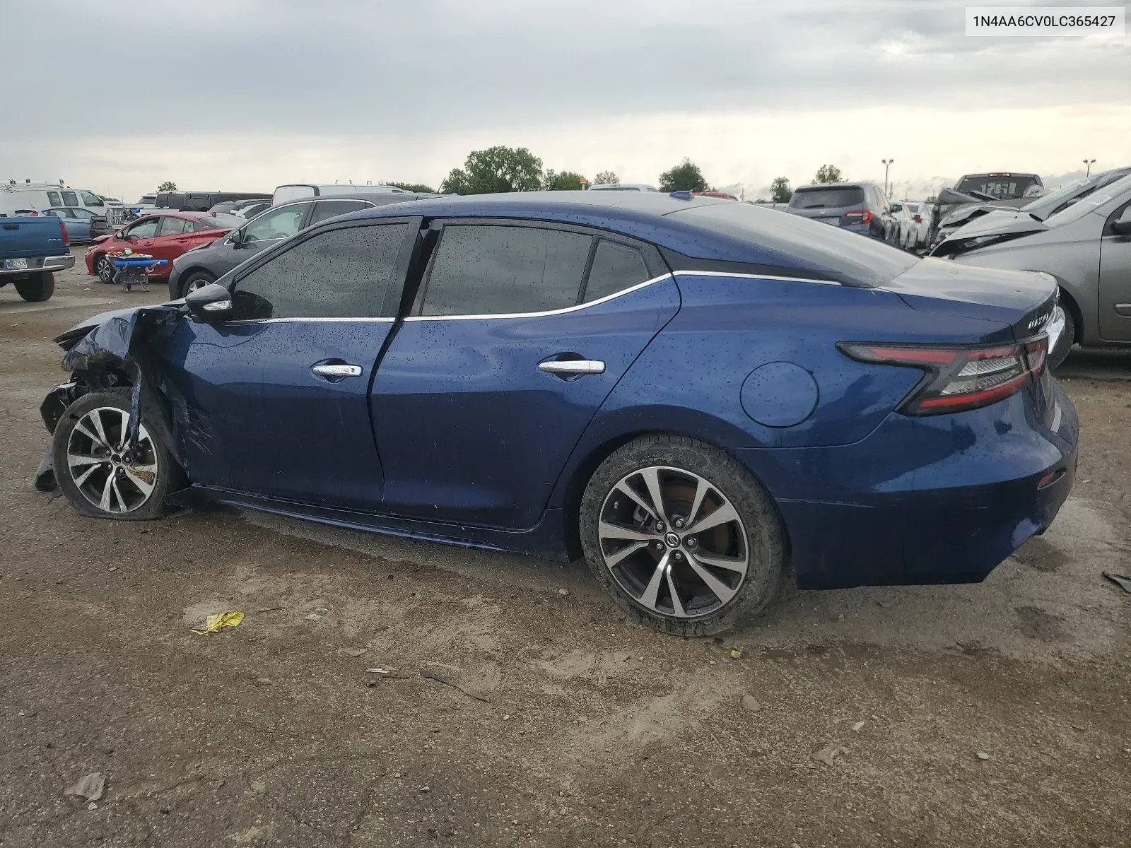 2020 Nissan Maxima Sv VIN: 1N4AA6CV0LC365427 Lot: 65523614