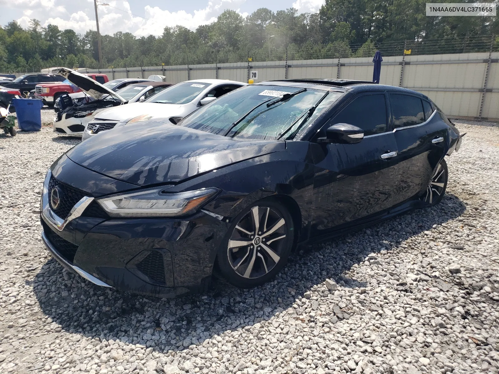 2020 Nissan Maxima Sl VIN: 1N4AA6DV4LC371665 Lot: 65992184