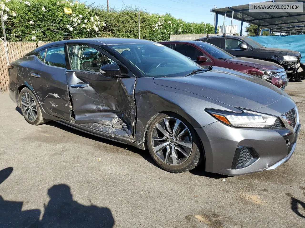 2020 Nissan Maxima Sv VIN: 1N4AA6CVXLC371834 Lot: 66392894