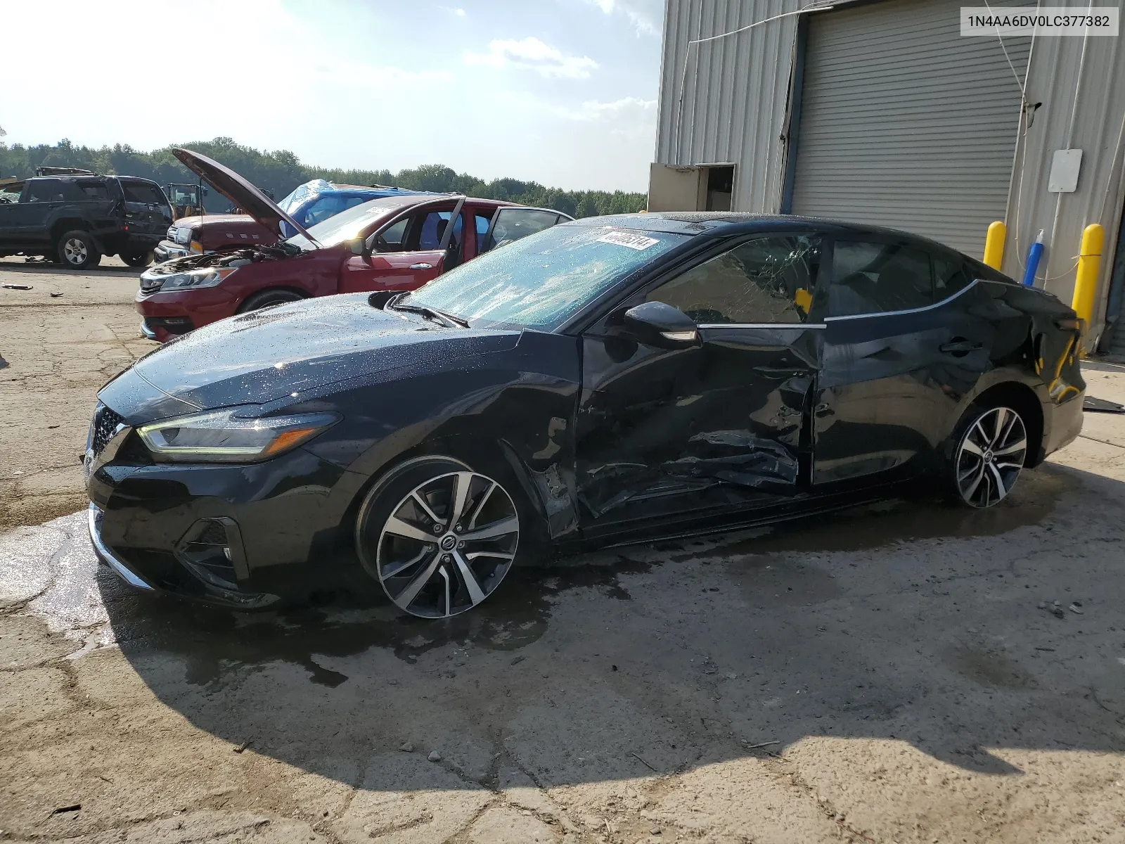 2020 Nissan Maxima Sl VIN: 1N4AA6DV0LC377382 Lot: 66405314