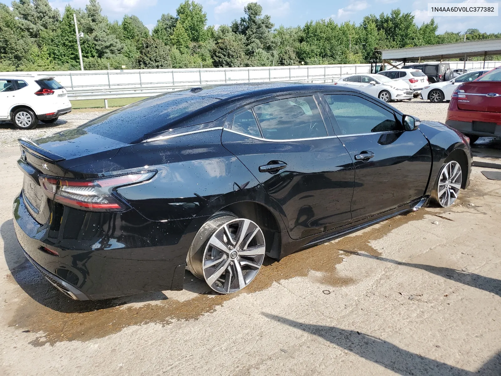 2020 Nissan Maxima Sl VIN: 1N4AA6DV0LC377382 Lot: 66405314