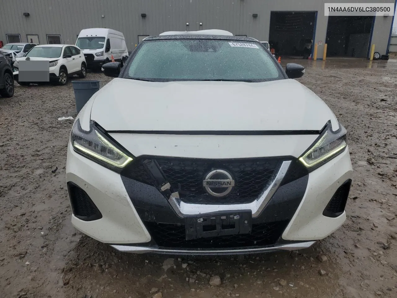 2020 Nissan Maxima Sl VIN: 1N4AA6DV6LC380500 Lot: 67528744