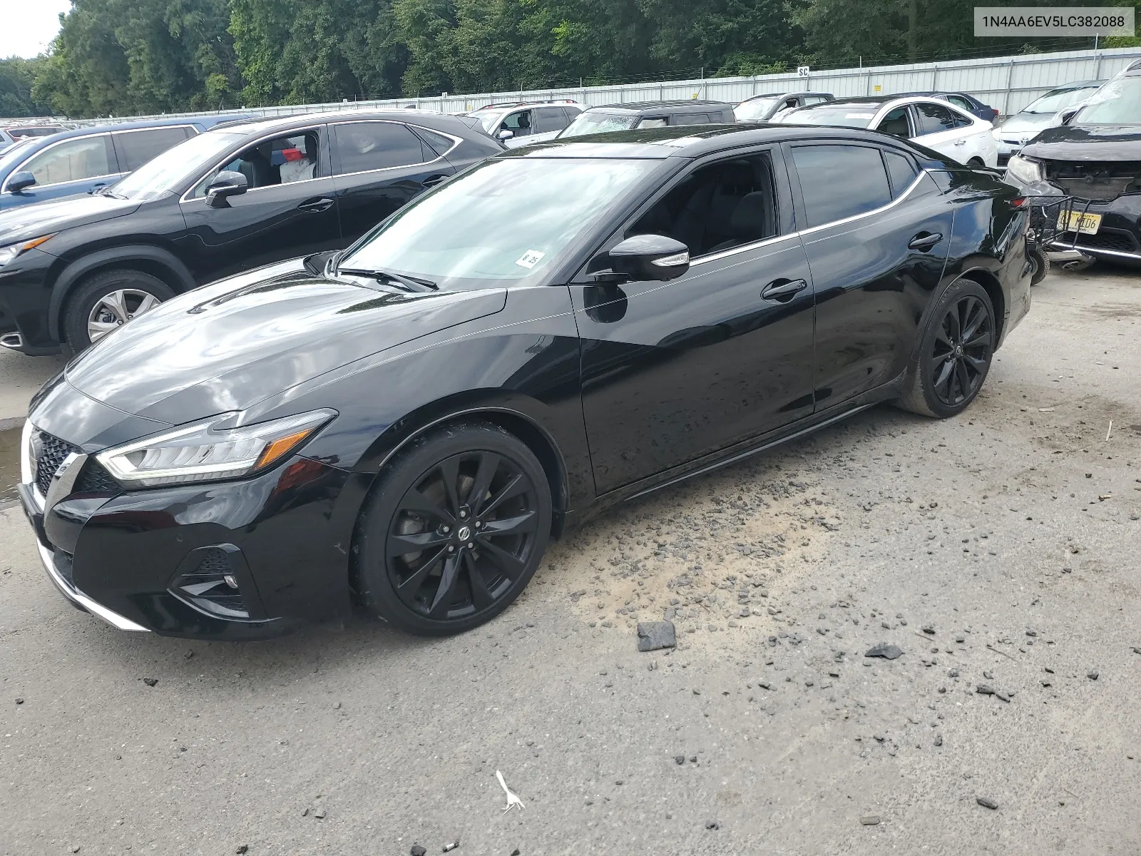 2020 Nissan Maxima Sr VIN: 1N4AA6EV5LC382088 Lot: 68049294