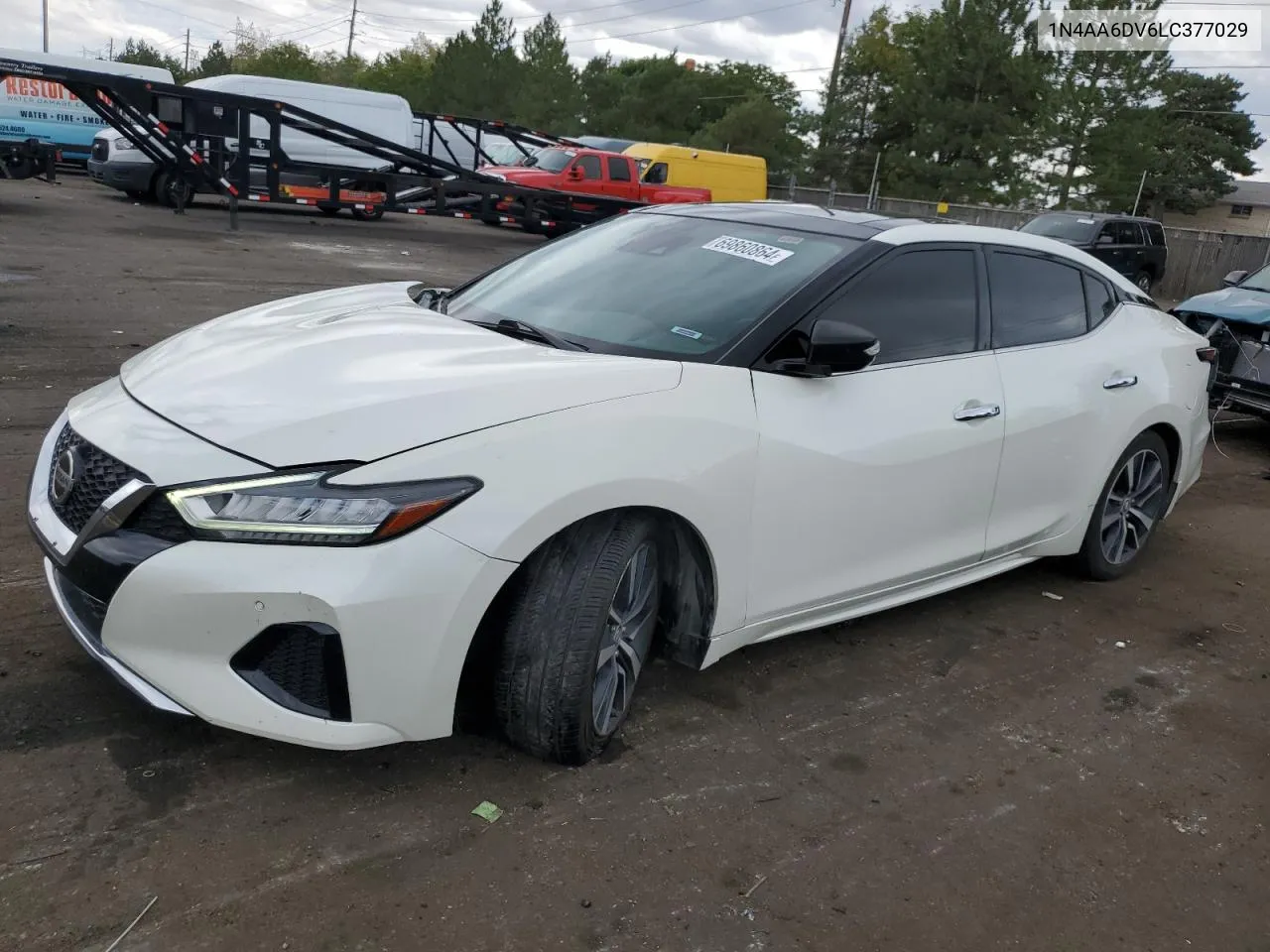 2020 Nissan Maxima Sl VIN: 1N4AA6DV6LC377029 Lot: 69860864