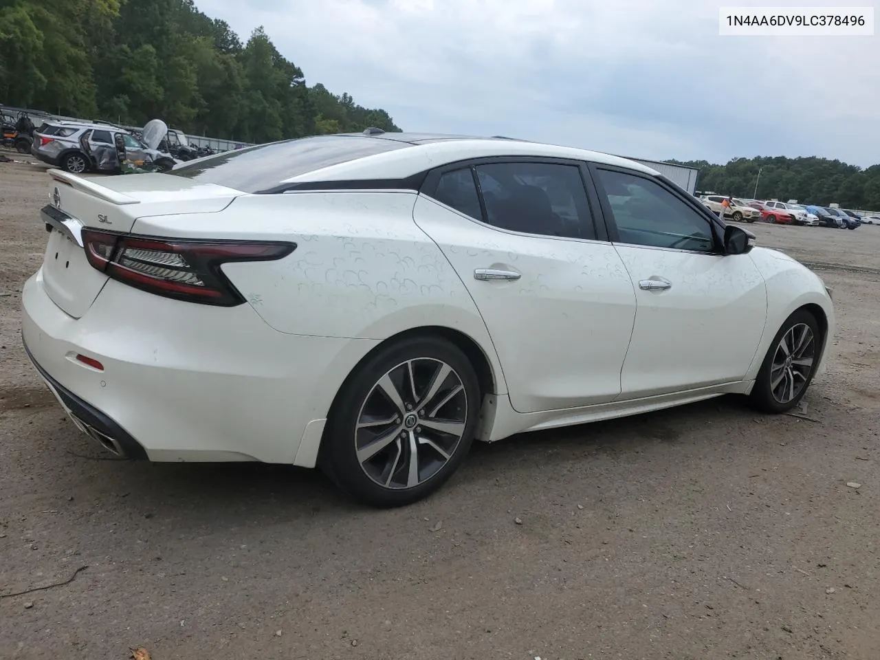 2020 Nissan Maxima Sl VIN: 1N4AA6DV9LC378496 Lot: 70191274