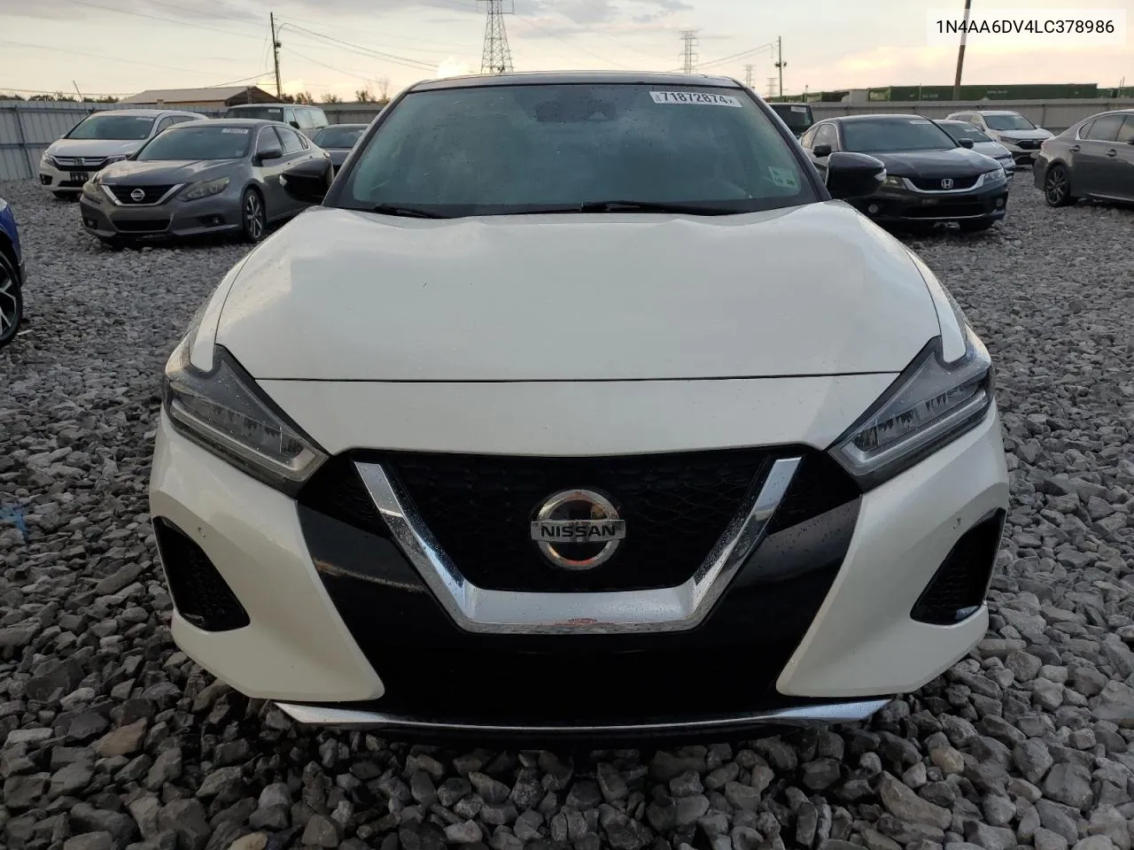 2020 Nissan Maxima Sl VIN: 1N4AA6DV4LC378986 Lot: 71872874