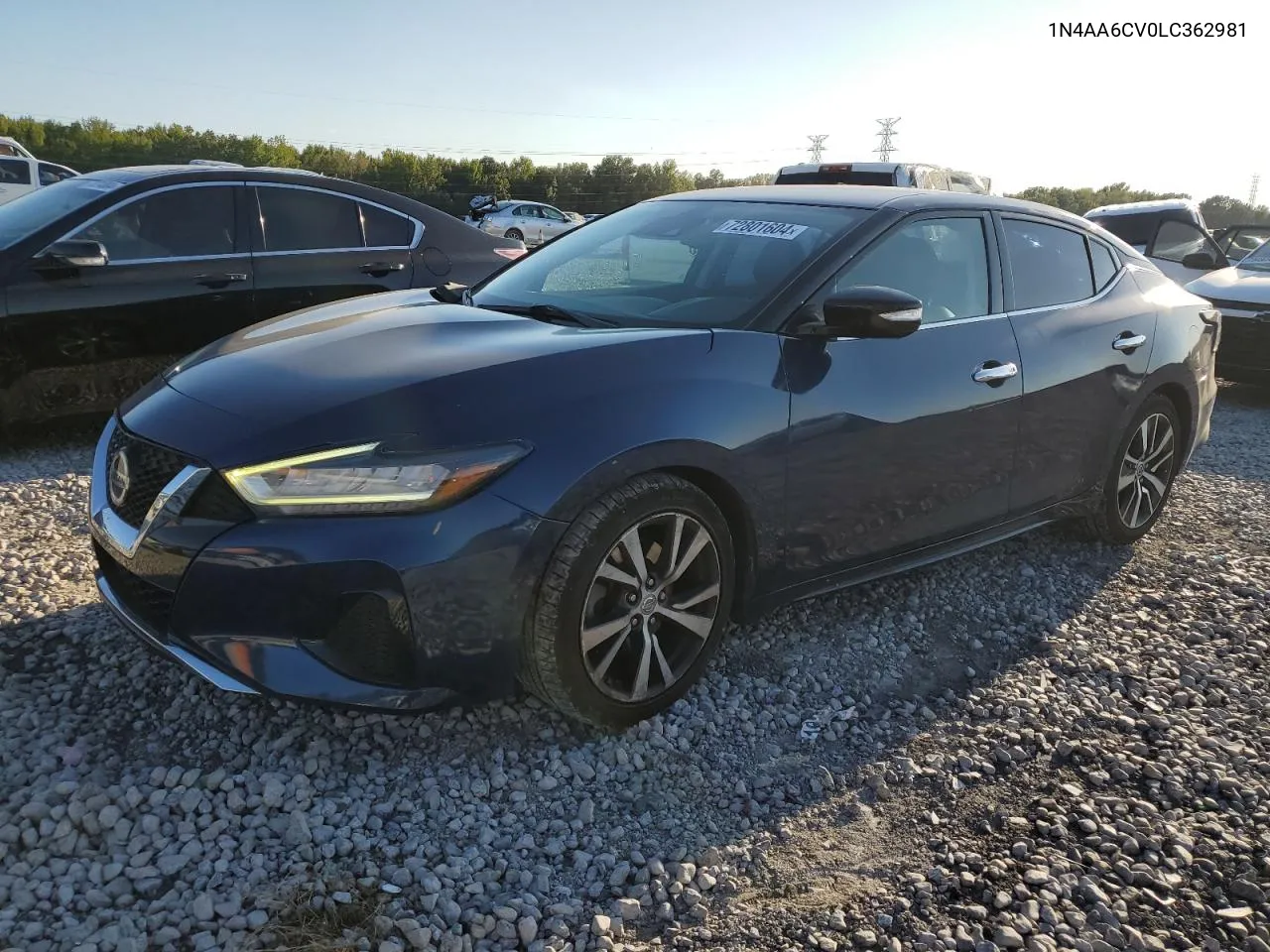 2020 Nissan Maxima Sv VIN: 1N4AA6CV0LC362981 Lot: 72801604