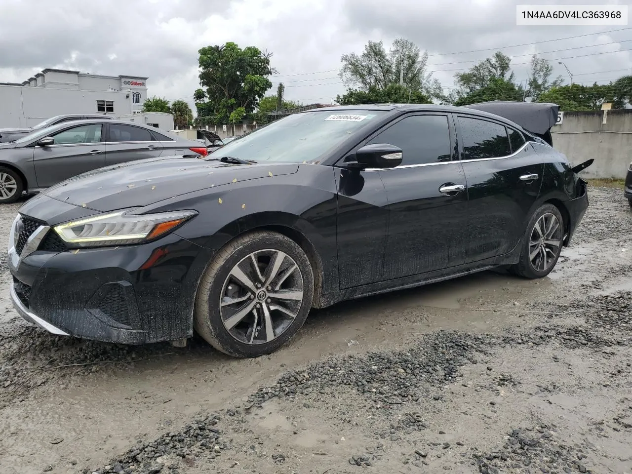 2020 Nissan Maxima Sl VIN: 1N4AA6DV4LC363968 Lot: 72806834