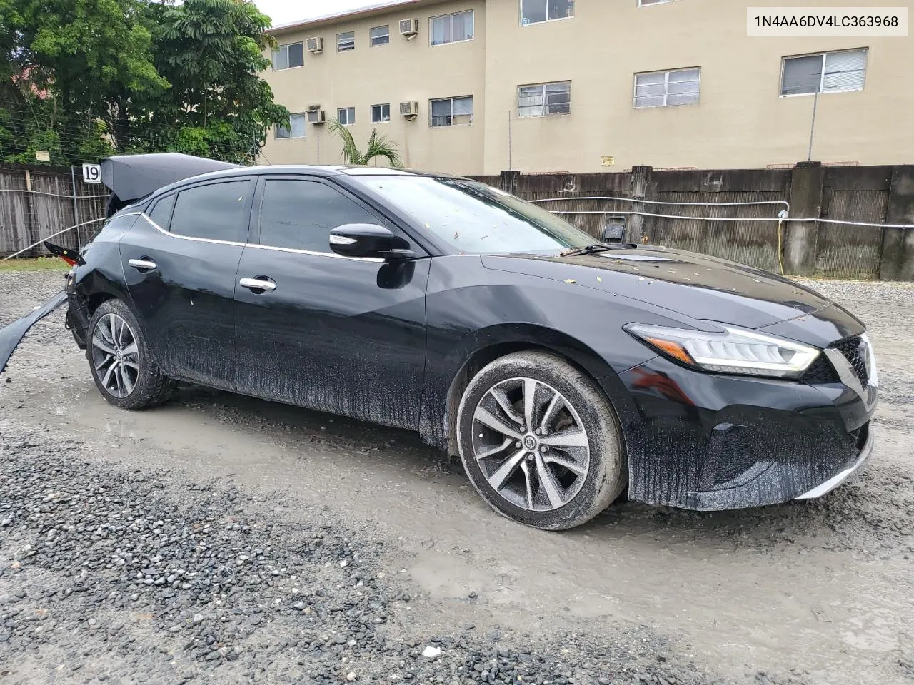 1N4AA6DV4LC363968 2020 Nissan Maxima Sl