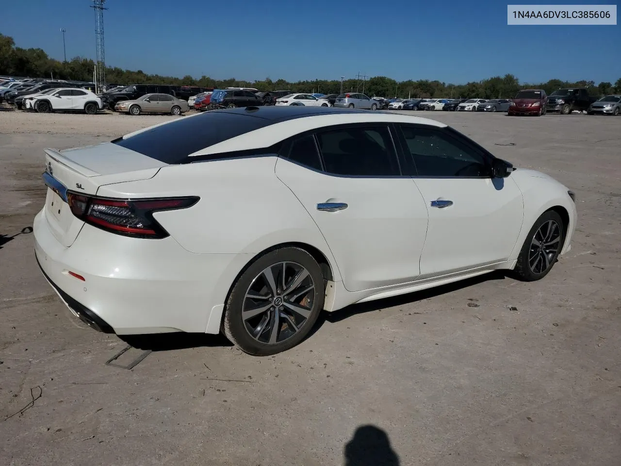 2020 Nissan Maxima Sl VIN: 1N4AA6DV3LC385606 Lot: 73844664