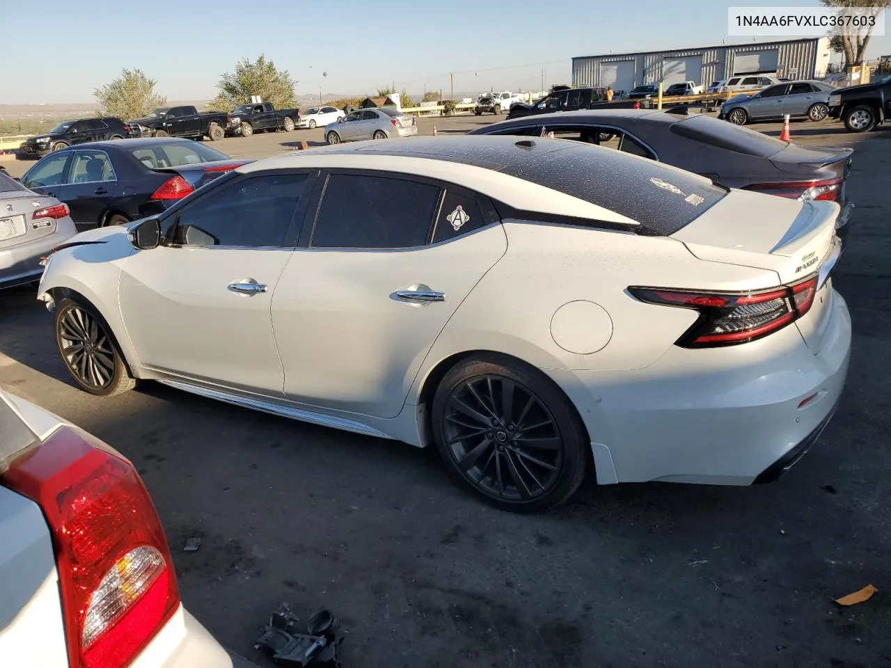 2020 Nissan Maxima Platinum VIN: 1N4AA6FVXLC367603 Lot: 74726104