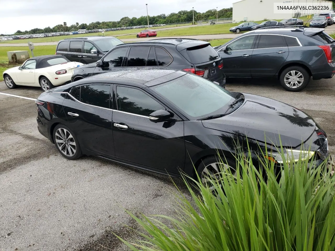 2020 Nissan Maxima Platinum VIN: 1N4AA6FV6LC362236 Lot: 75055074