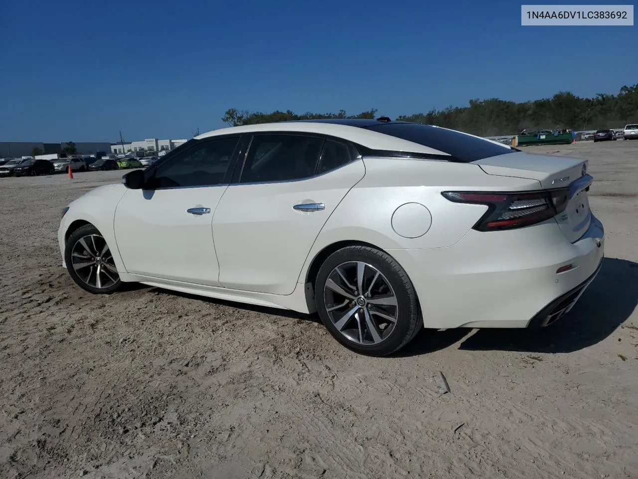 2020 Nissan Maxima Sl VIN: 1N4AA6DV1LC383692 Lot: 75894724