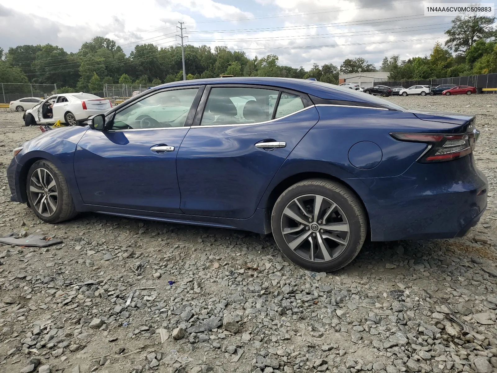 2021 Nissan Maxima Sv VIN: 1N4AA6CV0MC509883 Lot: 67924584