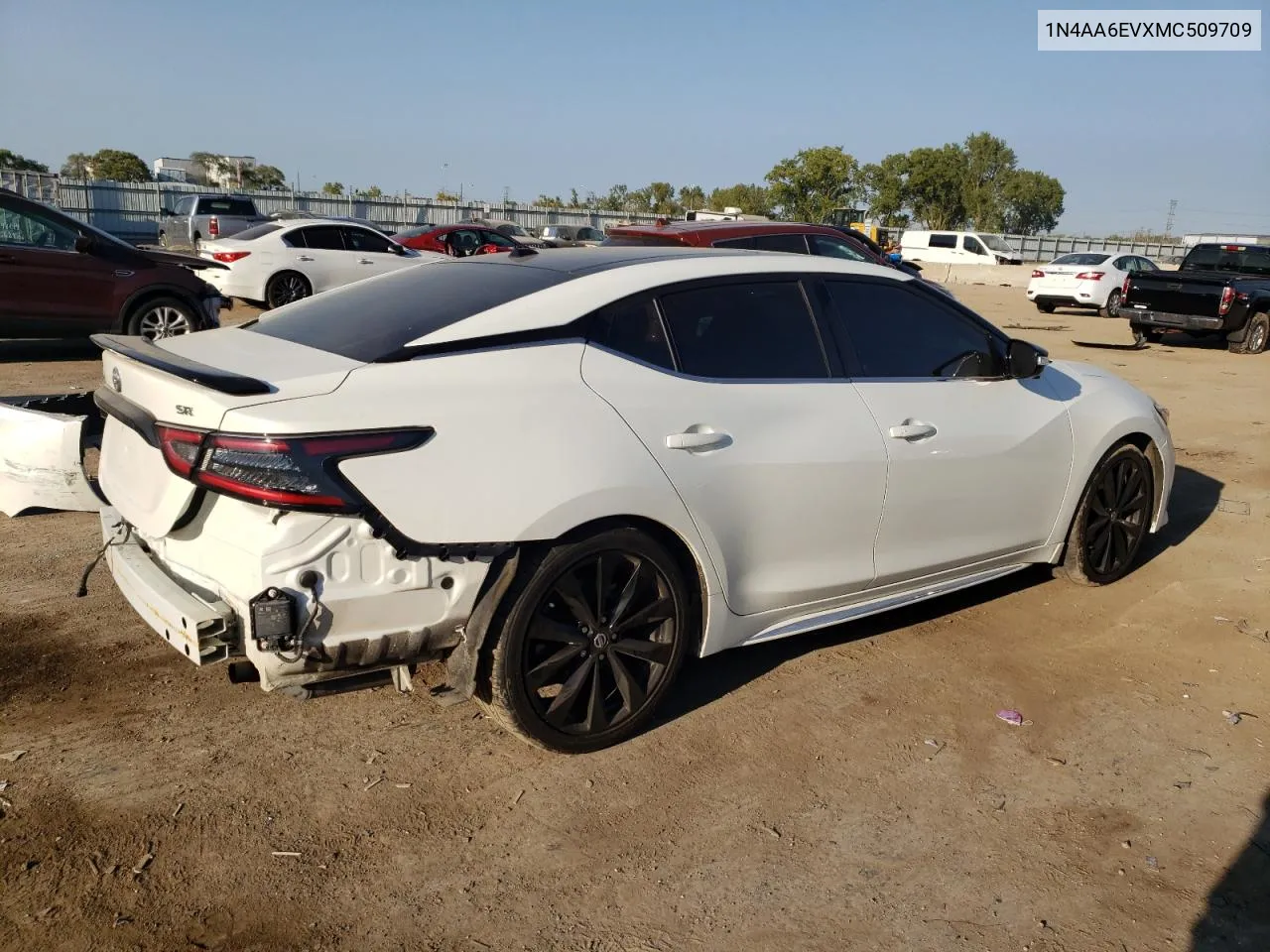 2021 Nissan Maxima Sr VIN: 1N4AA6EVXMC509709 Lot: 70824184