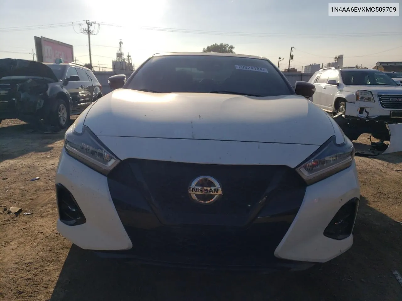 2021 Nissan Maxima Sr VIN: 1N4AA6EVXMC509709 Lot: 70824184