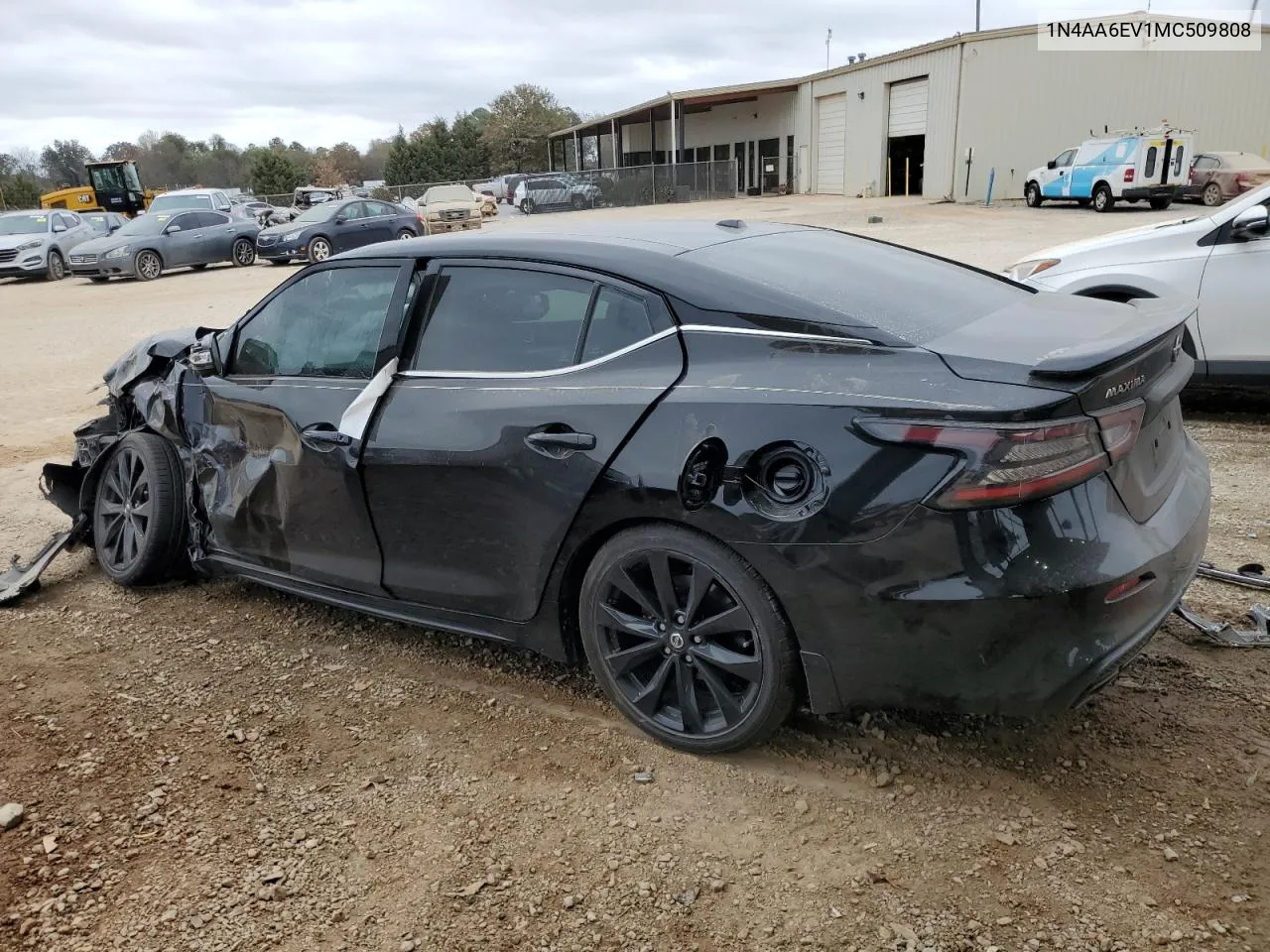 2021 Nissan Maxima Sr VIN: 1N4AA6EV1MC509808 Lot: 78534584