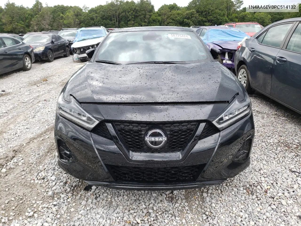 2023 Nissan Maxima Sr VIN: 1N4AA6EV0PC514132 Lot: 58725424