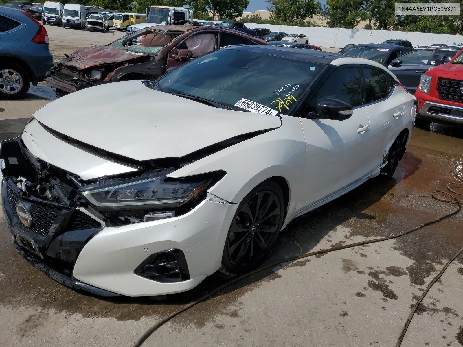 1N4AA6EV1PC505391 2023 Nissan Maxima Sr