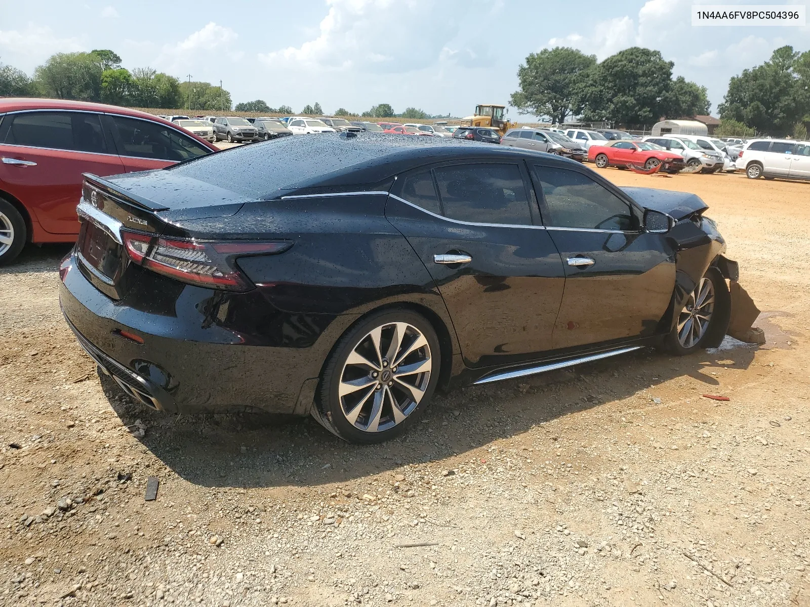 2023 Nissan Maxima Platinum VIN: 1N4AA6FV8PC504396 Lot: 66502924