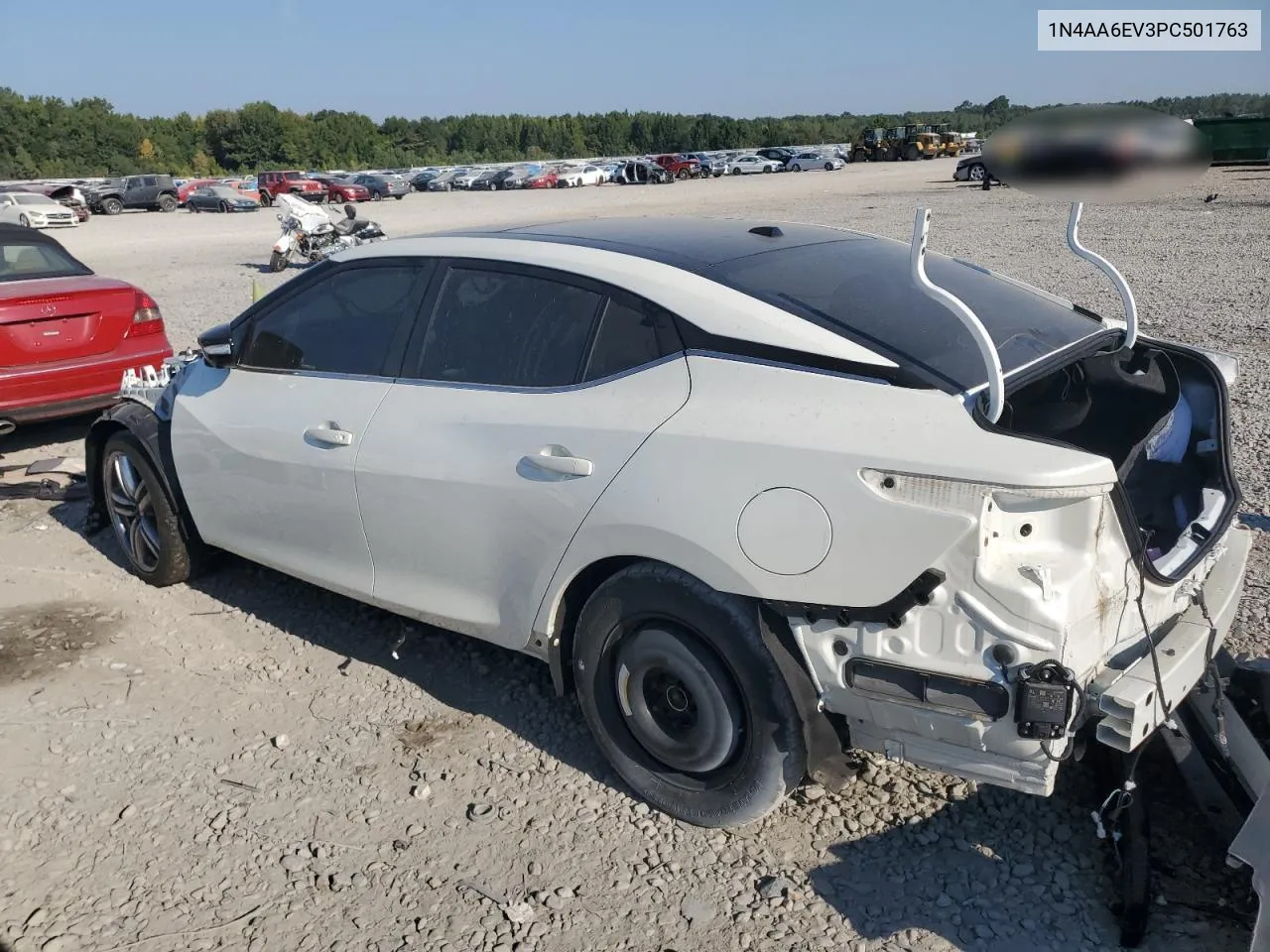 2023 Nissan Maxima Sr VIN: 1N4AA6EV3PC501763 Lot: 69241614