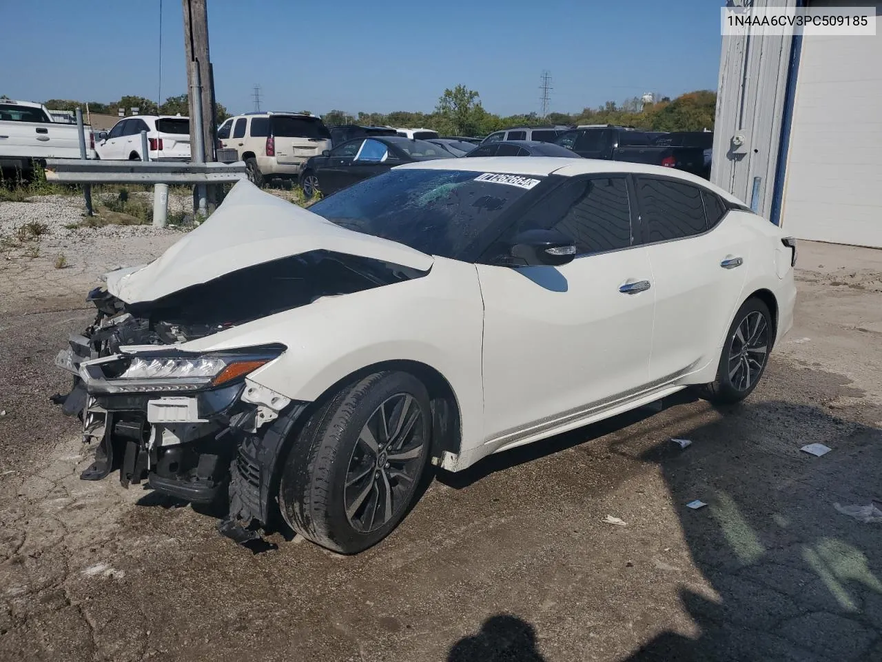 2023 Nissan Maxima Sv VIN: 1N4AA6CV3PC509185 Lot: 71262664