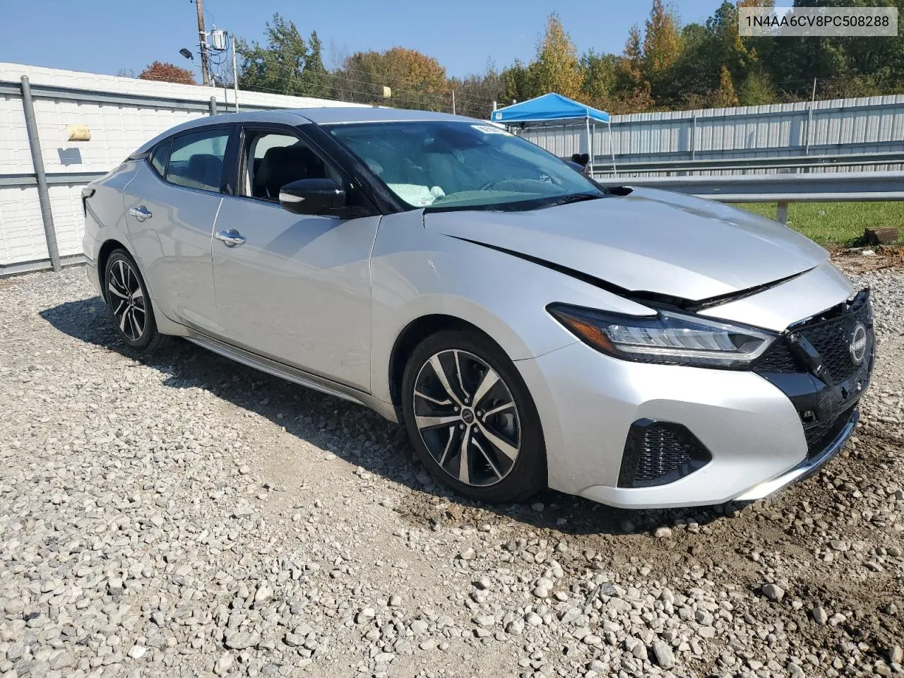 2023 Nissan Maxima Sv VIN: 1N4AA6CV8PC508288 Lot: 77577264