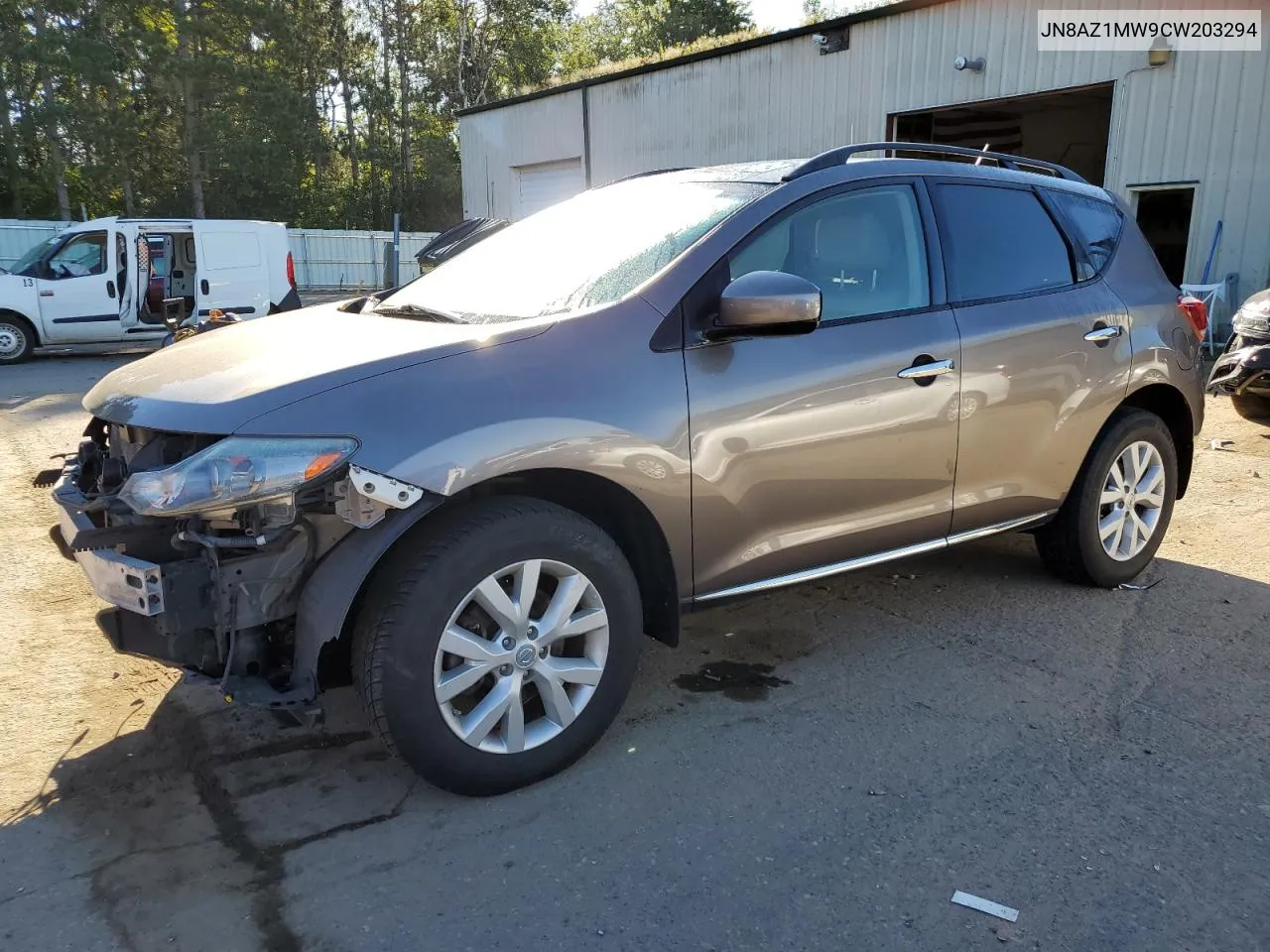 2012 Nissan Murano S VIN: JN8AZ1MW9CW203294 Lot: 72621744