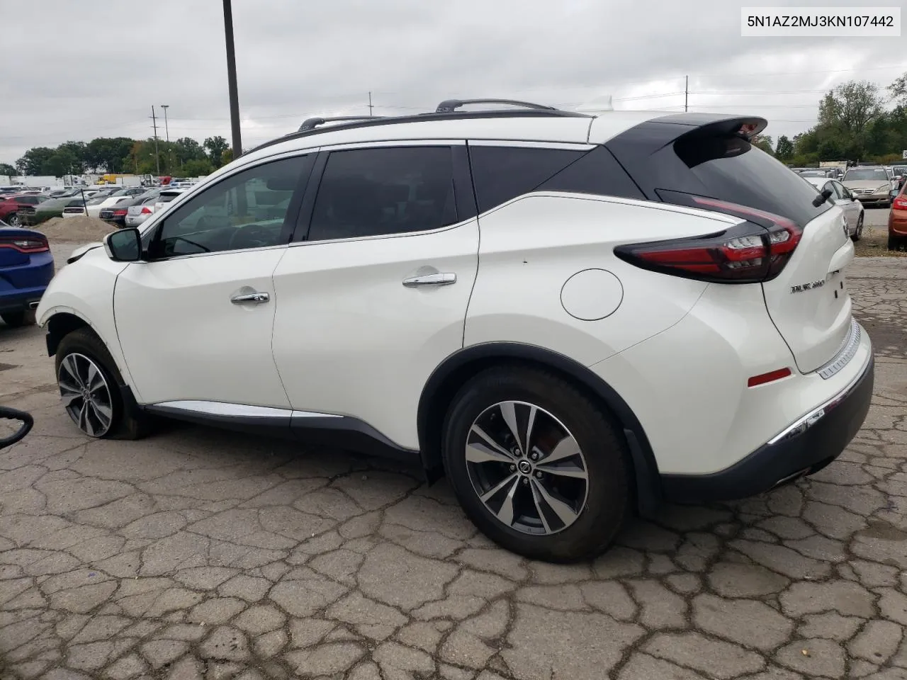 2019 Nissan Murano S VIN: 5N1AZ2MJ3KN107442 Lot: 73112044