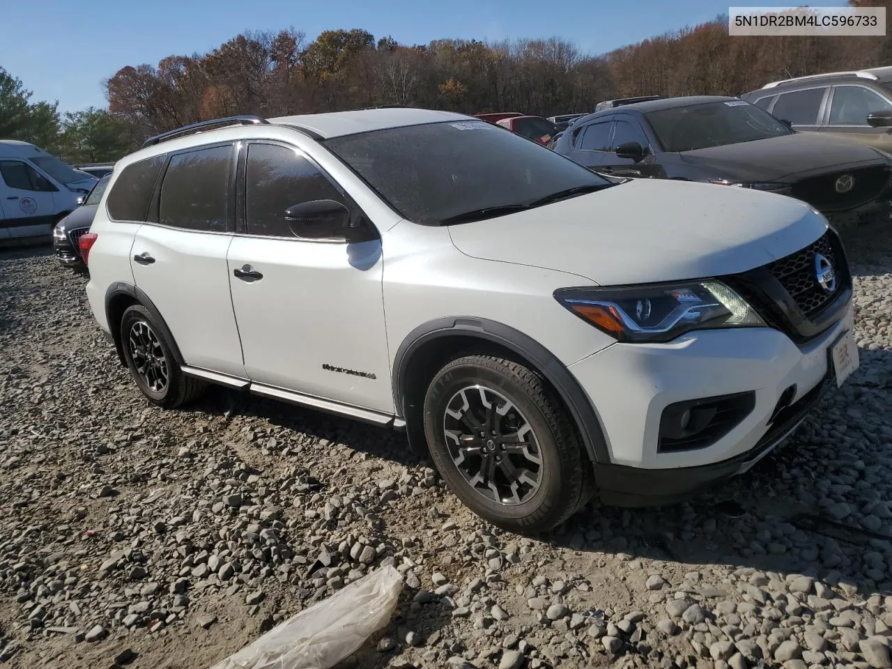 2020 Nissan Pathfinder Sv VIN: 5N1DR2BM4LC596733 Lot: 79612674