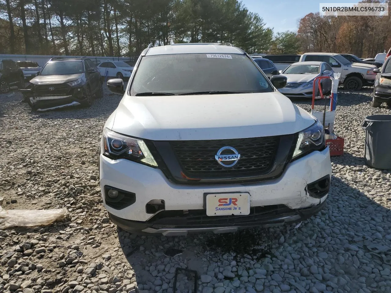 2020 Nissan Pathfinder Sv VIN: 5N1DR2BM4LC596733 Lot: 79612674