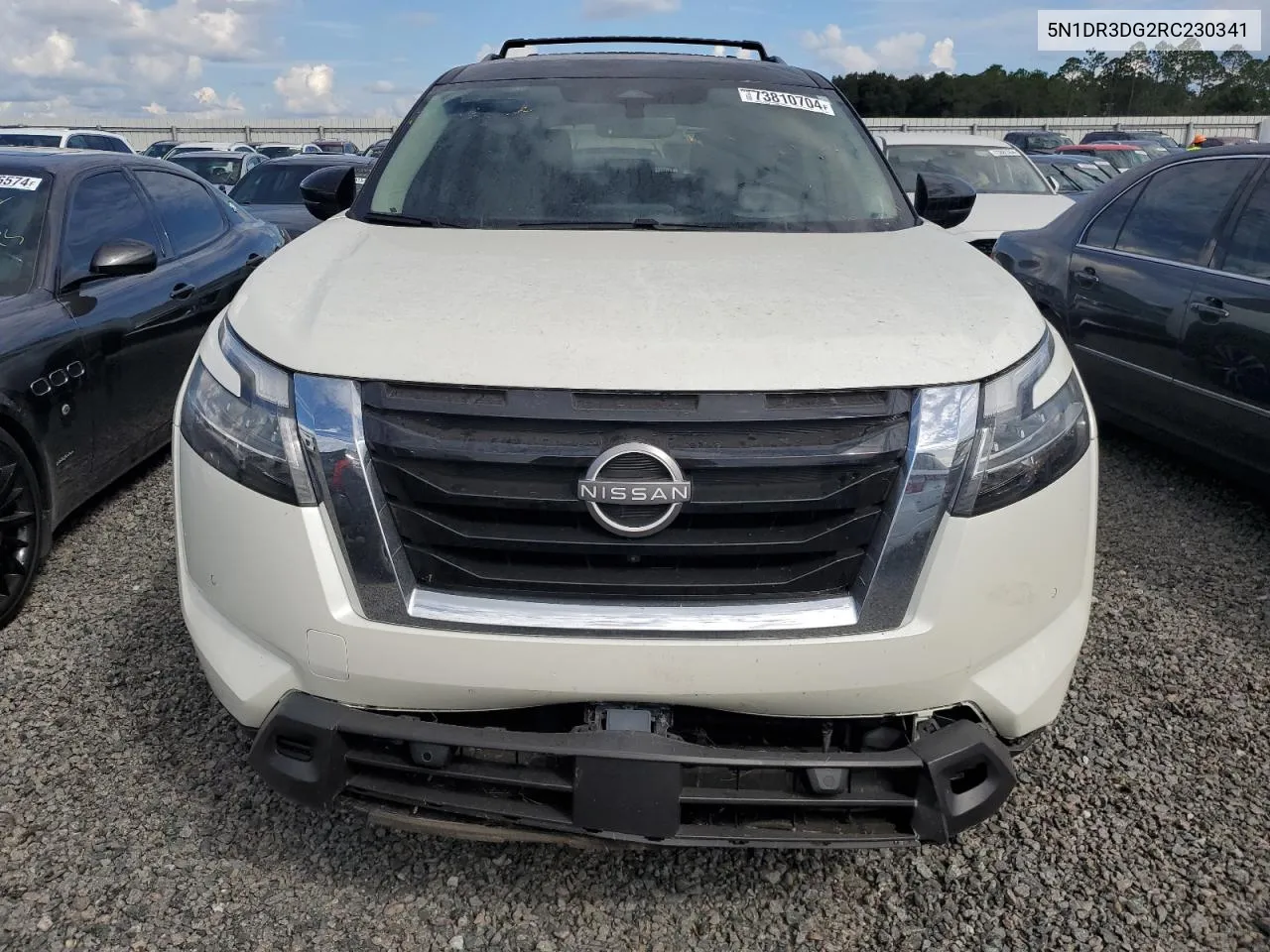 2024 Nissan Pathfinder Platinum VIN: 5N1DR3DG2RC230341 Lot: 73810704