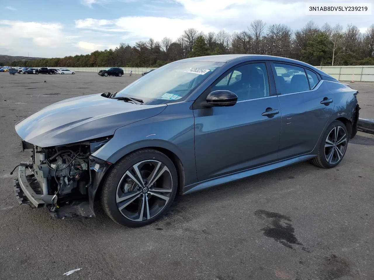 2020 Nissan Sentra Sr VIN: 3N1AB8DV5LY239219 Lot: 74263254