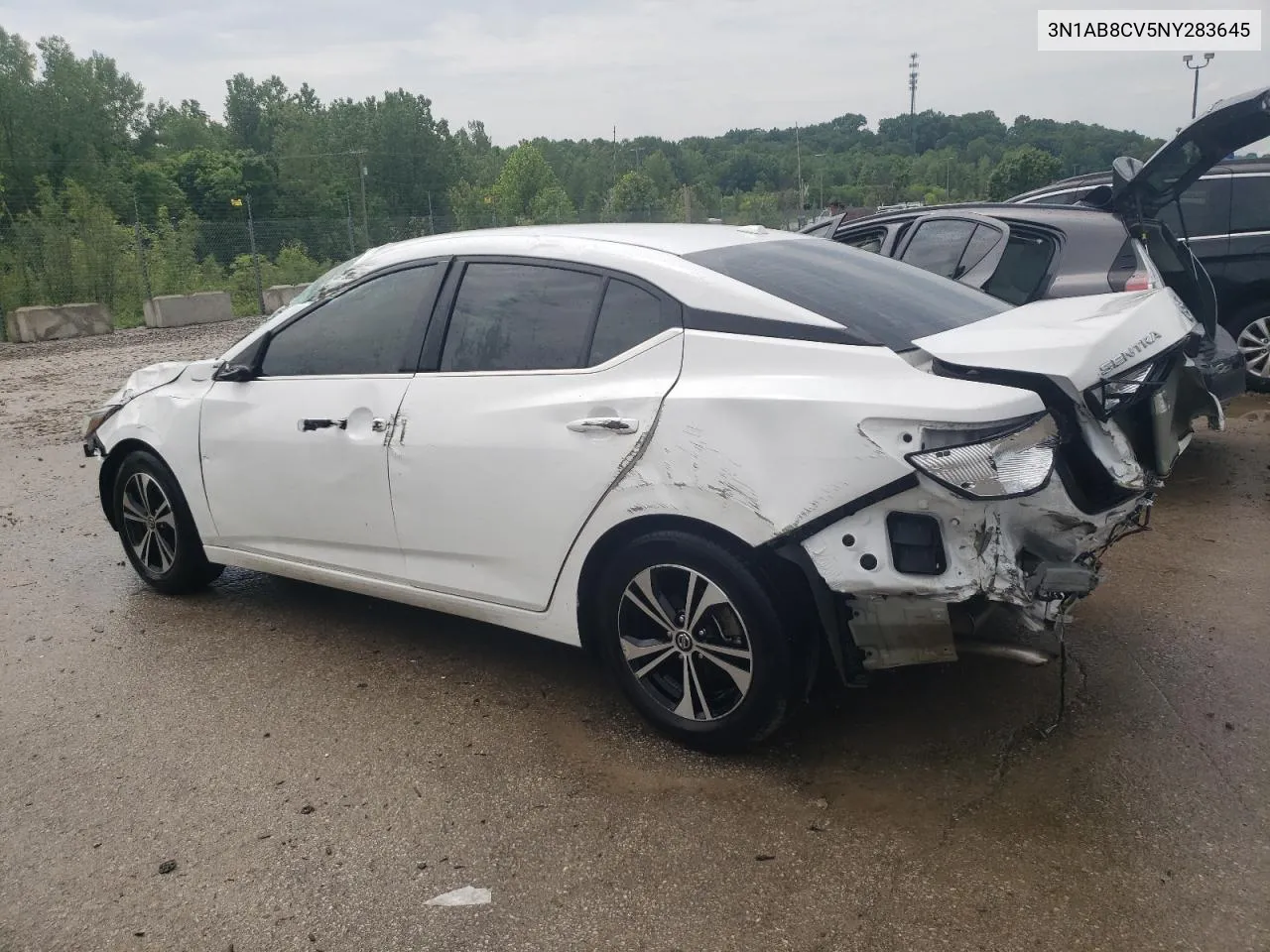 2022 Nissan Sentra Sv VIN: 3N1AB8CV5NY283645 Lot: 54013904