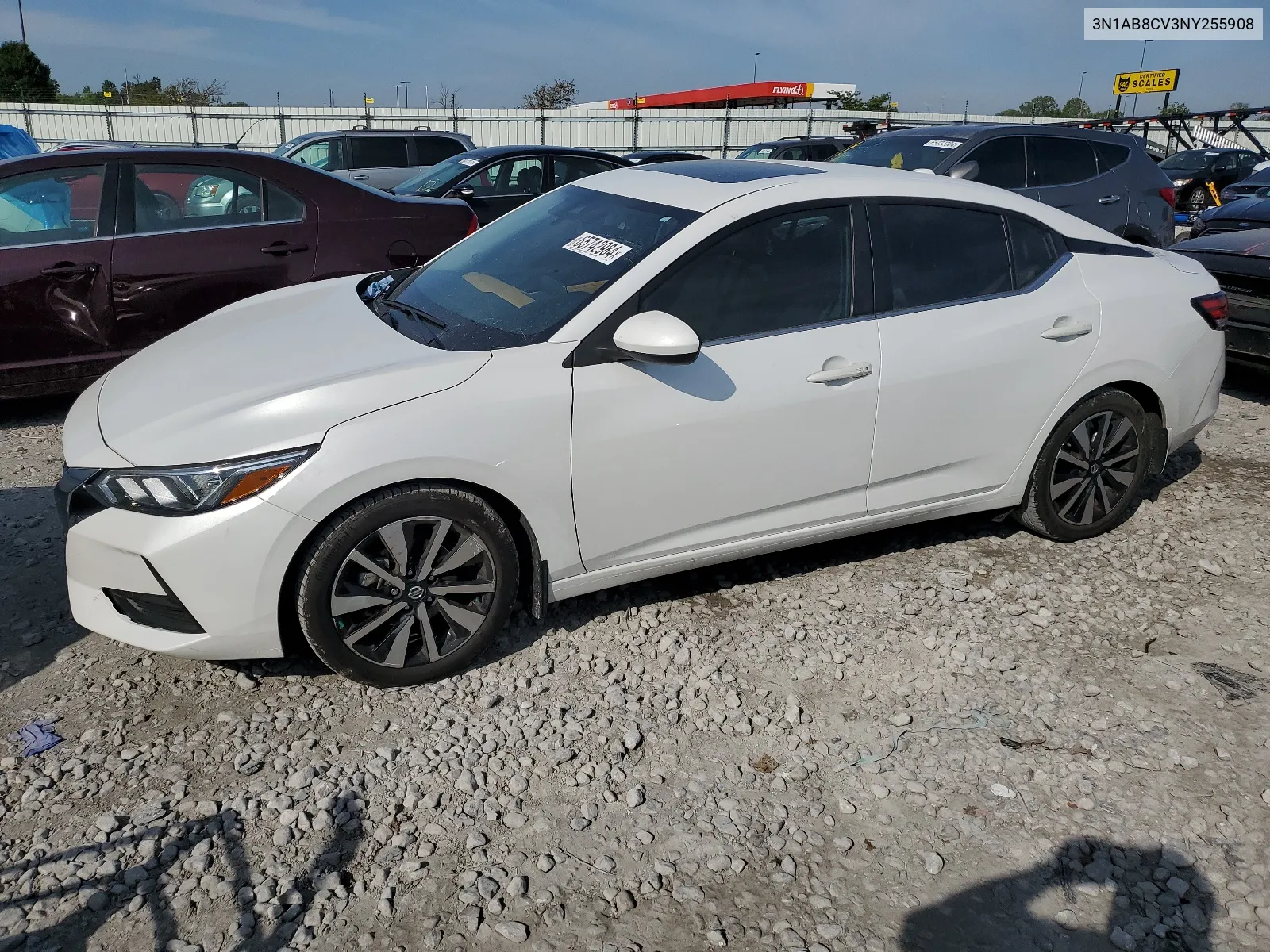 2022 Nissan Sentra Sv VIN: 3N1AB8CV3NY255908 Lot: 65742984